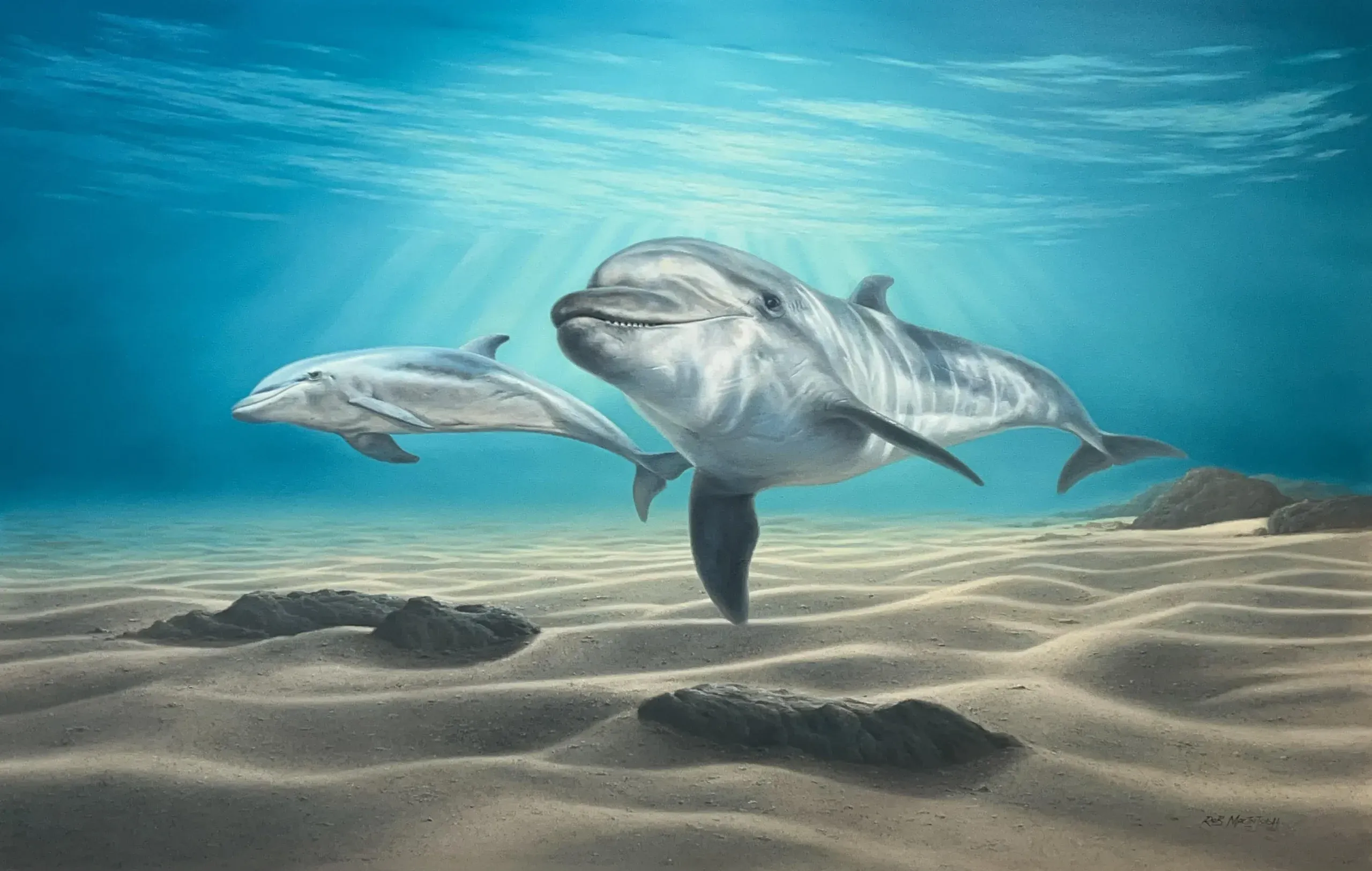 Photorealistic painting of two dolphins near the ocean floor