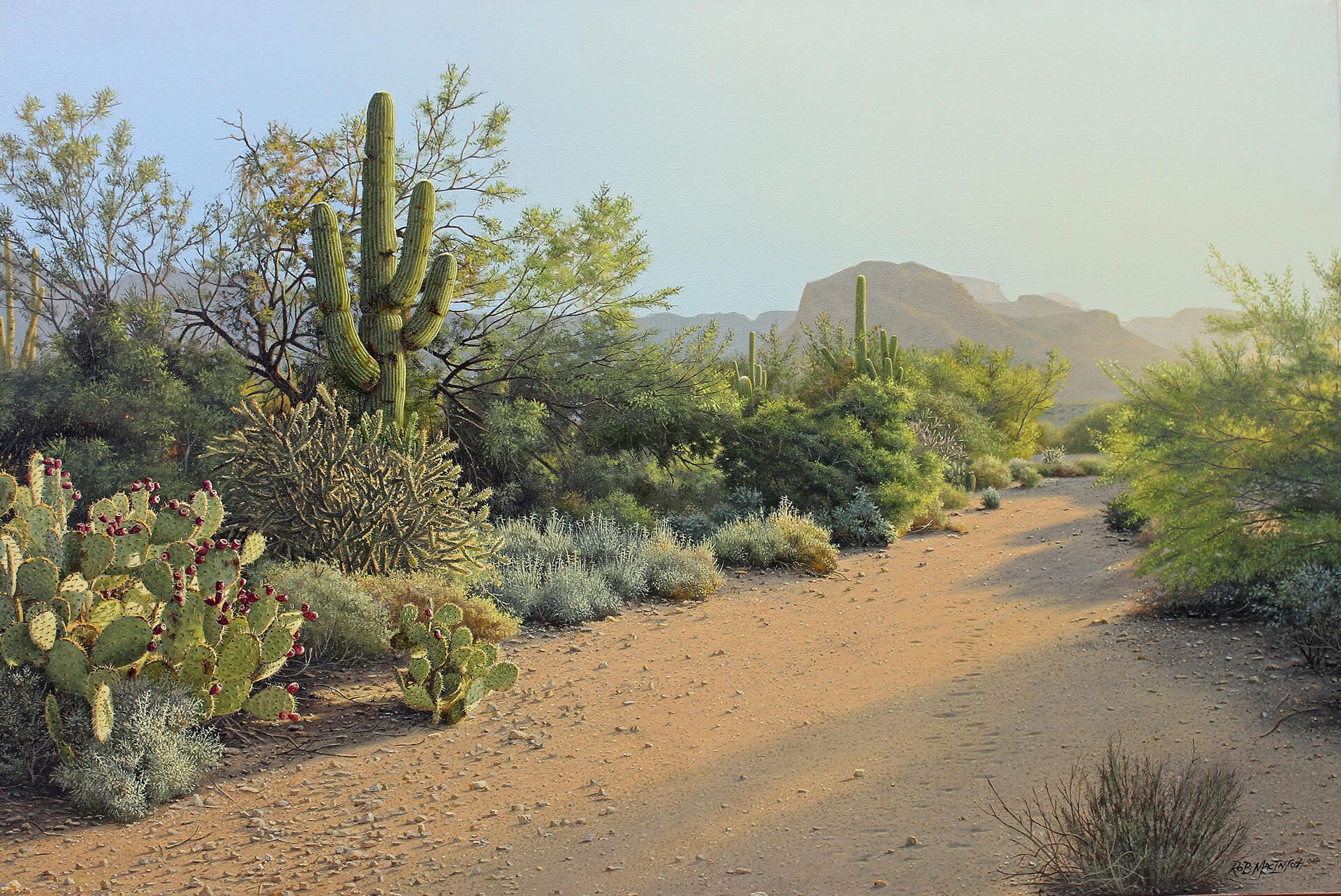 Photorealistic painting of Sabino Canyon desert