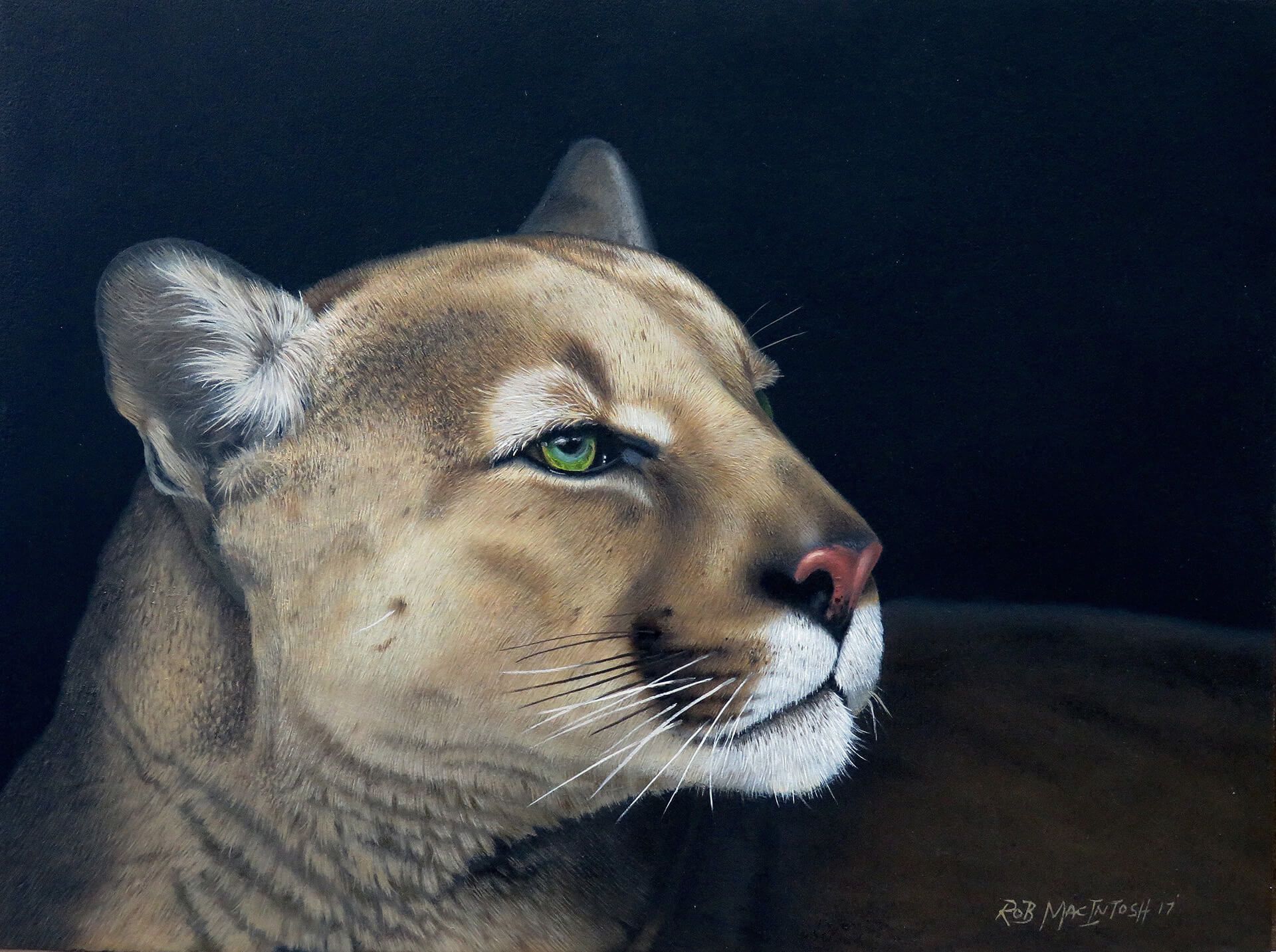 Photorealistic painting of a side portrait of a mountain lion