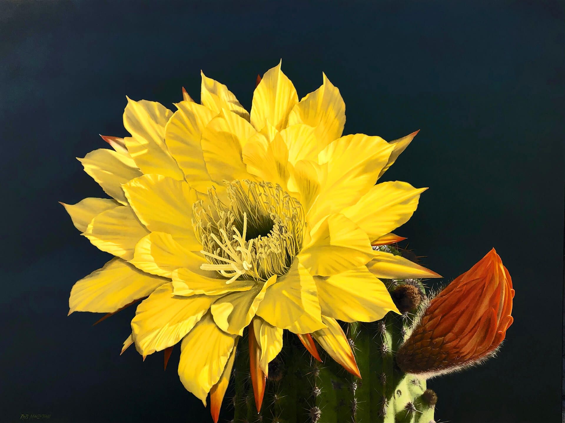 Photorealistic painting of a yellow bloom