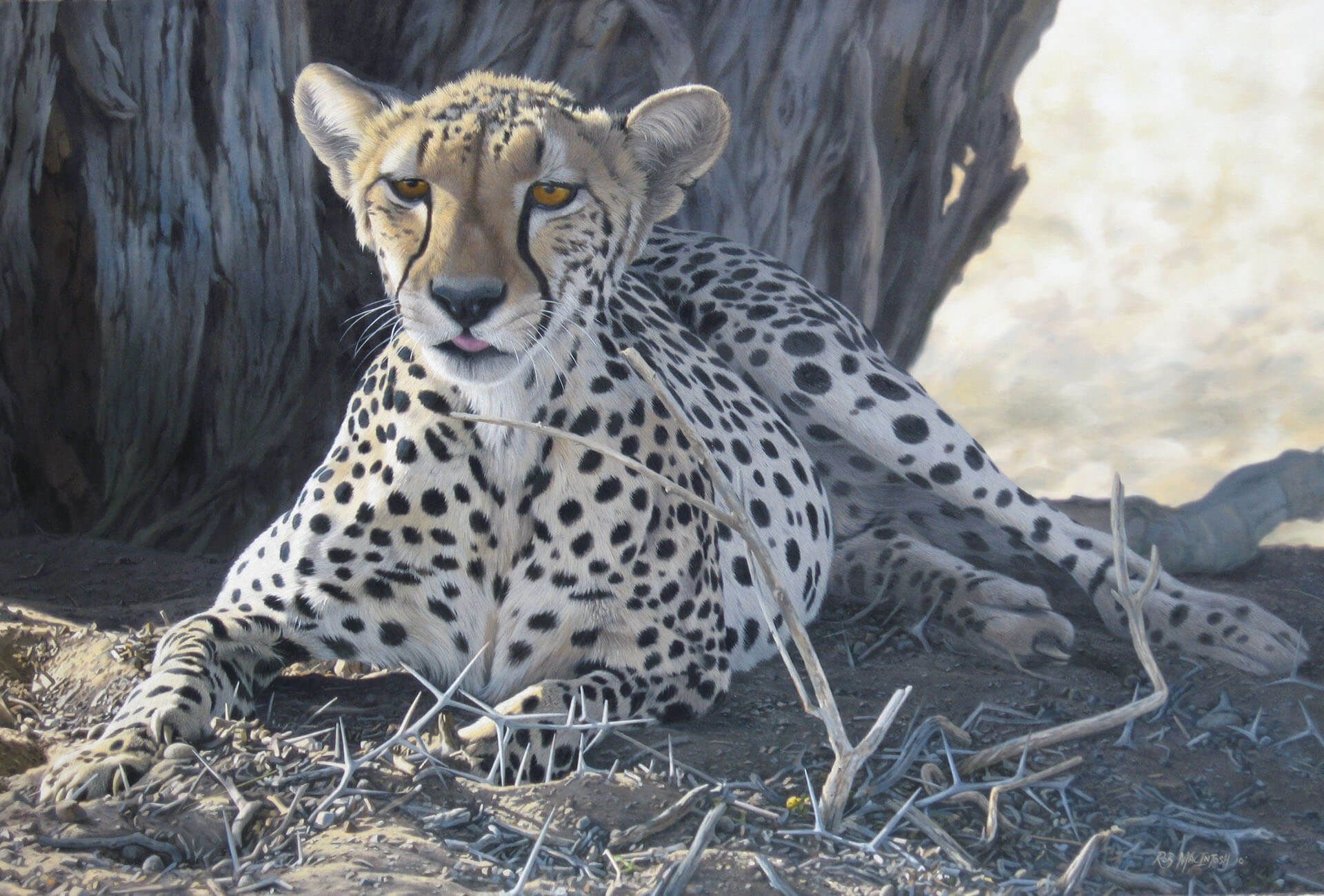 Photorealistic painting of a cheetah