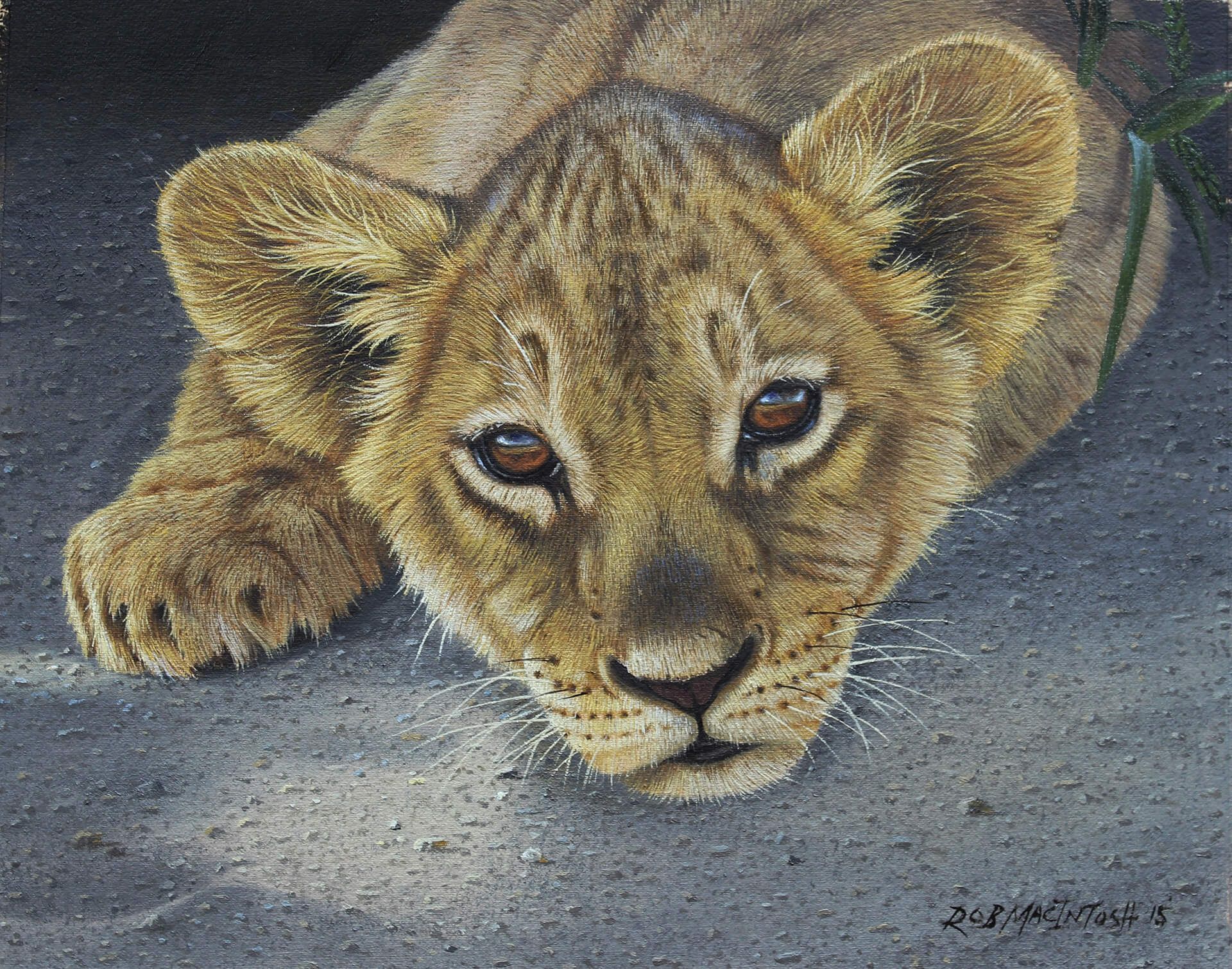 Photorealistic painting of a lion cub