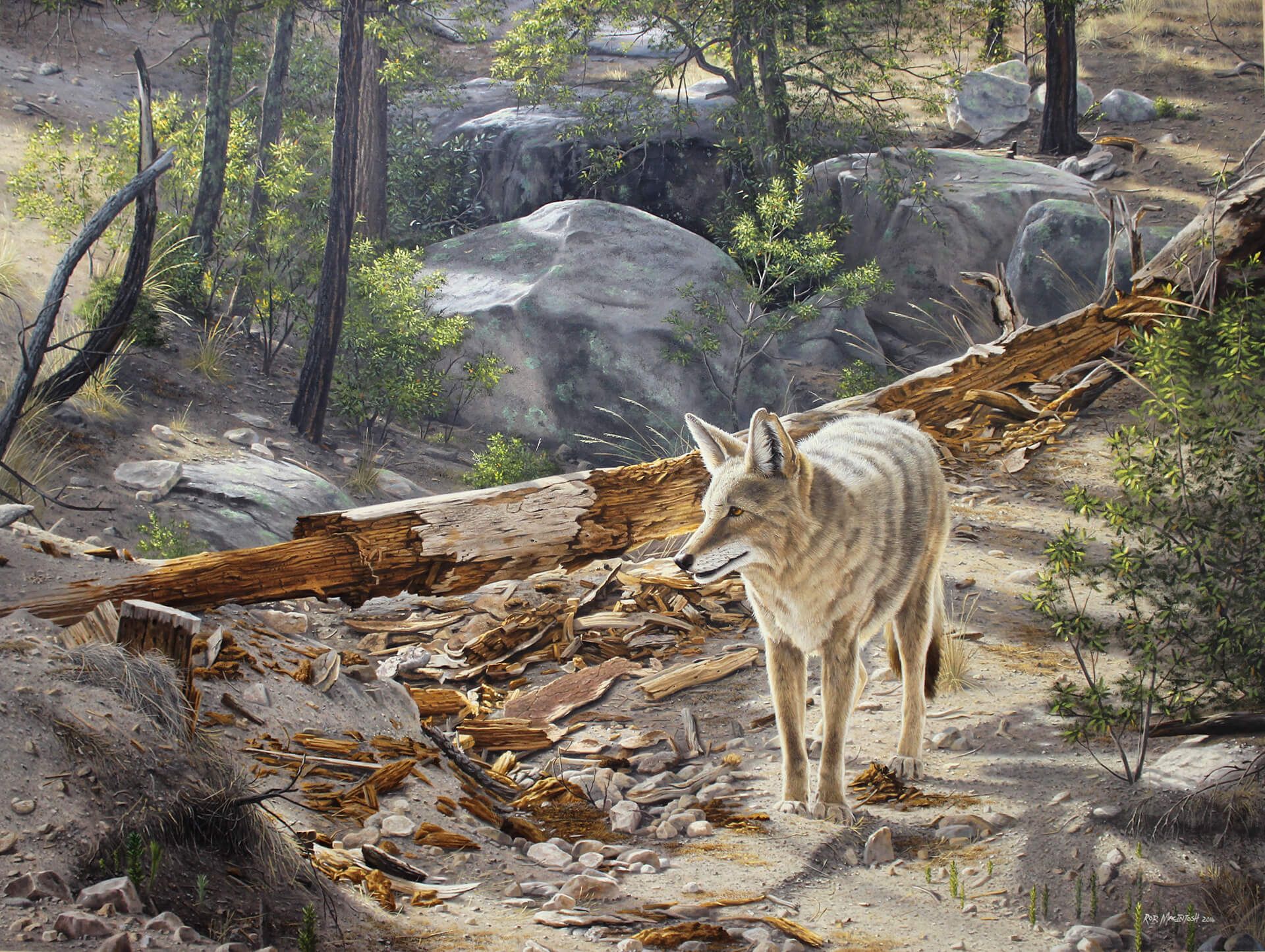 Photorealistic painting of a coyote prowling through woods