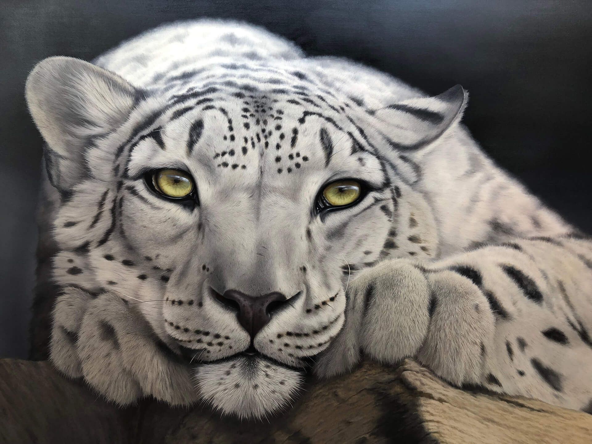 Photorealistic painting of a close up of a snow leapard