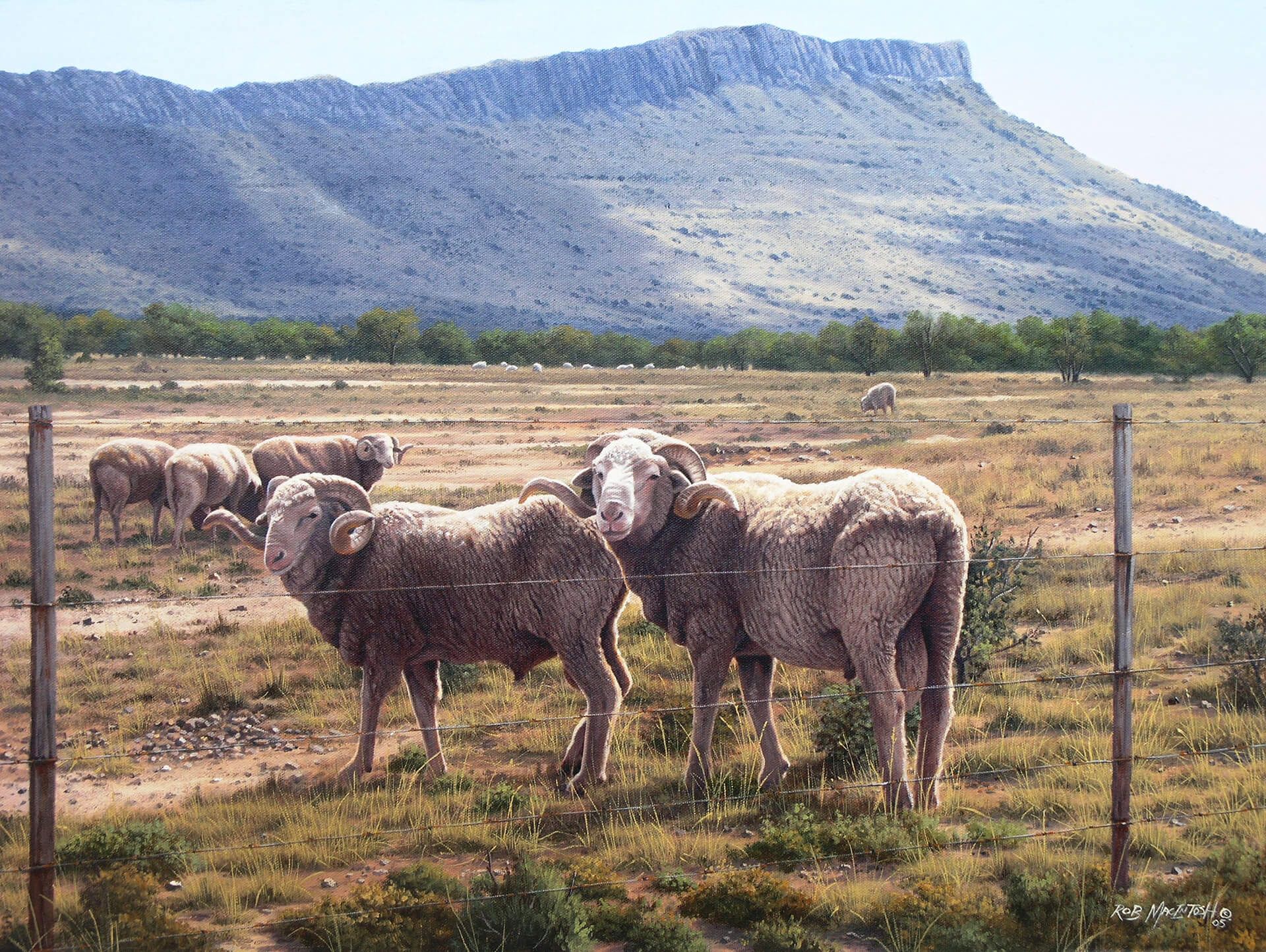 Photorealistic painting of sheep looking at the direction of a sound they heard