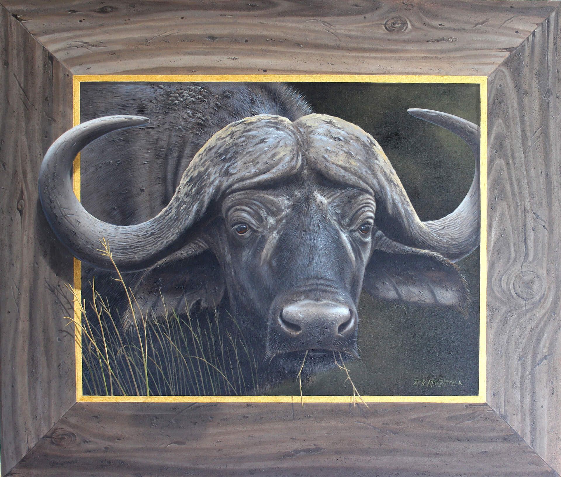 Photorealistic painting of the head of a buffalo