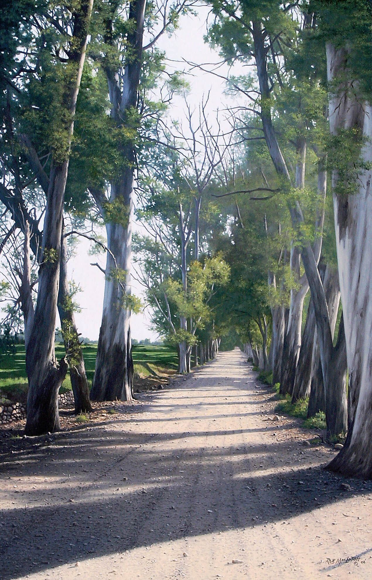 Photorealistic painting of a road arrayed with bluegum trees on both sides