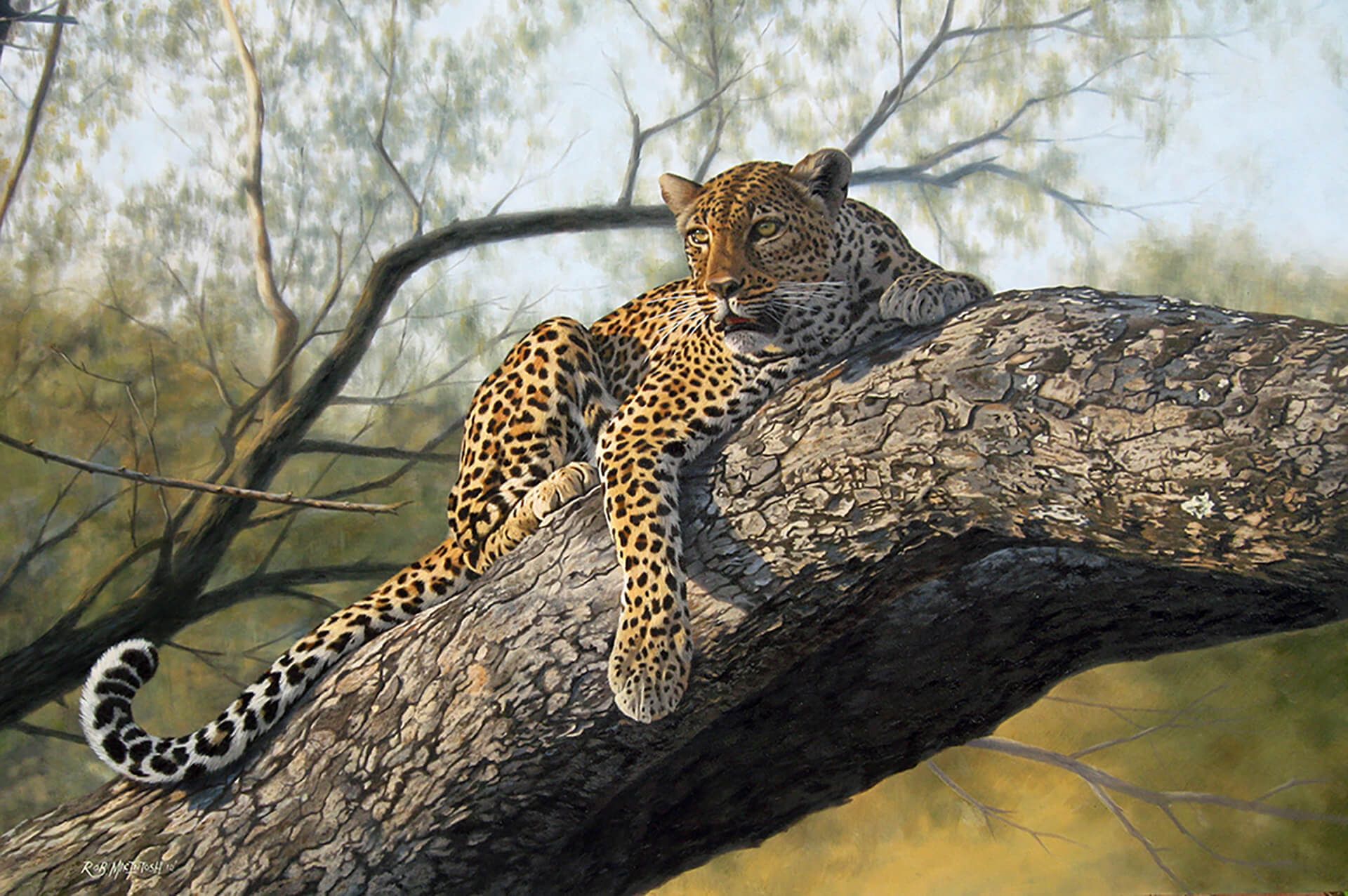 Photorealistic painting of a jaguar laying on the branch of a tree
