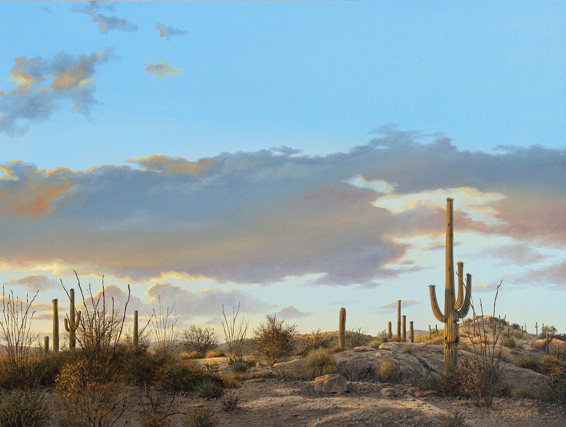 Photorealistic painting of the Sonoran Desert in late afternoon