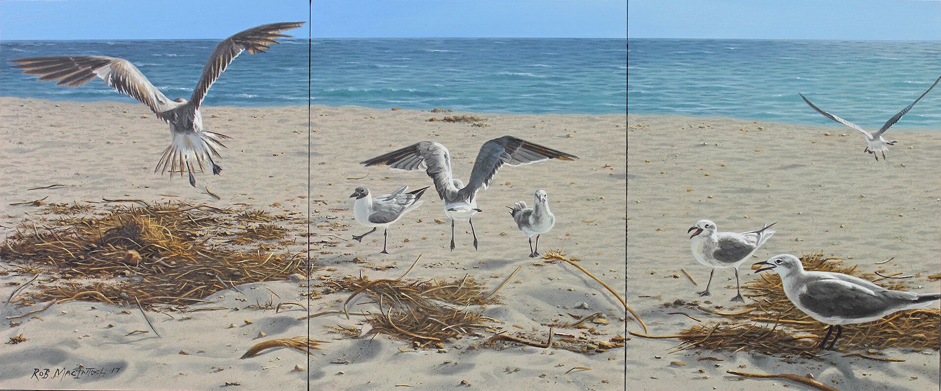 Photorealistic painting of seagulls fighting over food
