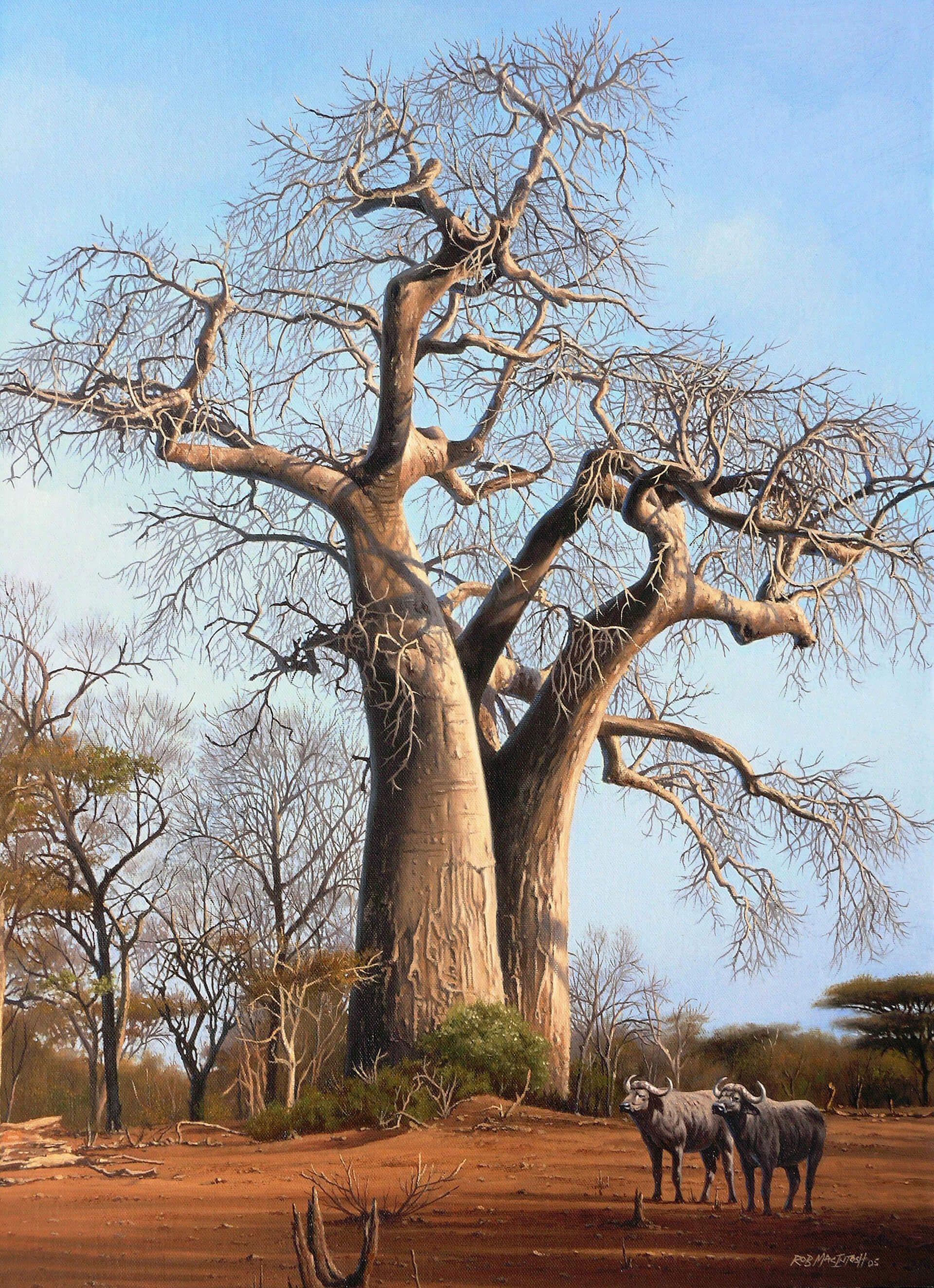 Photorealistic painting of buffalo beneath a boabab tree