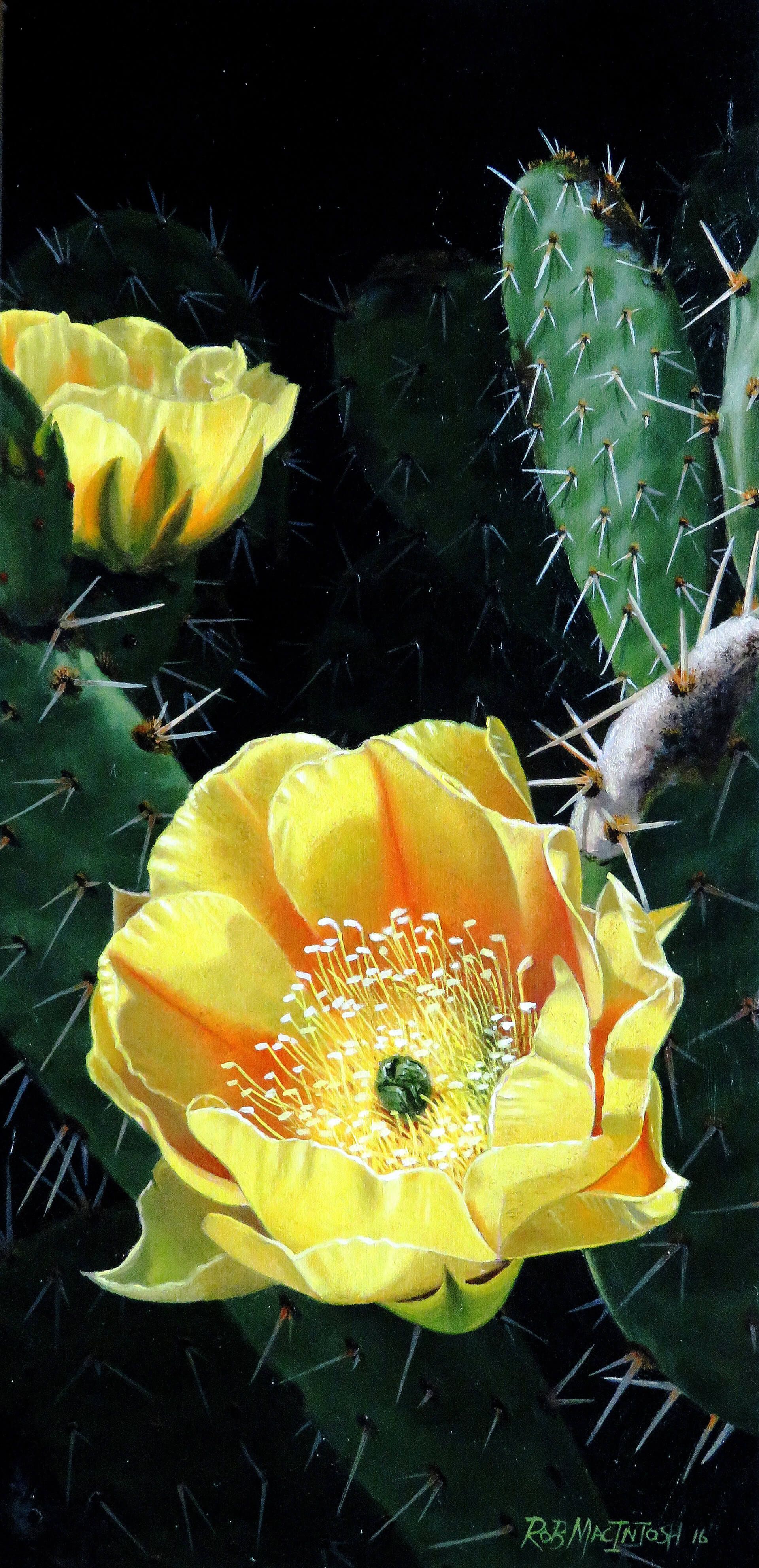 Photorealistic painting of a cactus bloom