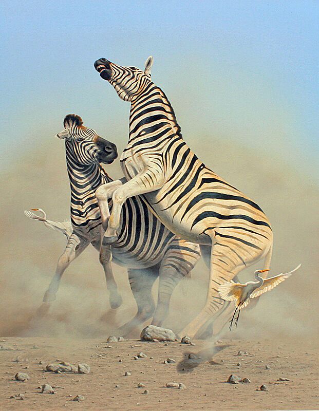 Photorealistic painting of two zebras rearing