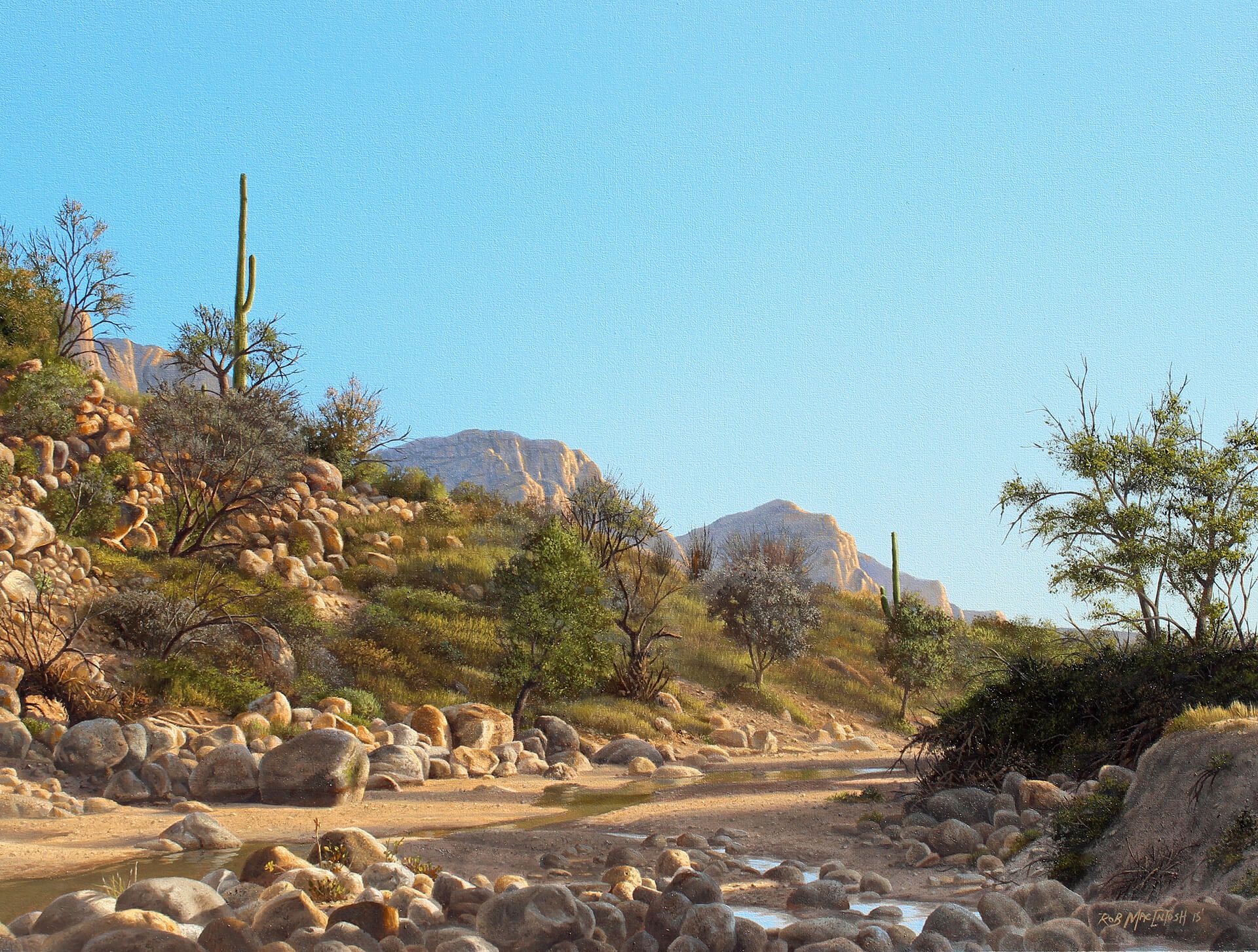 Photorealistic painting of Catalina State Park