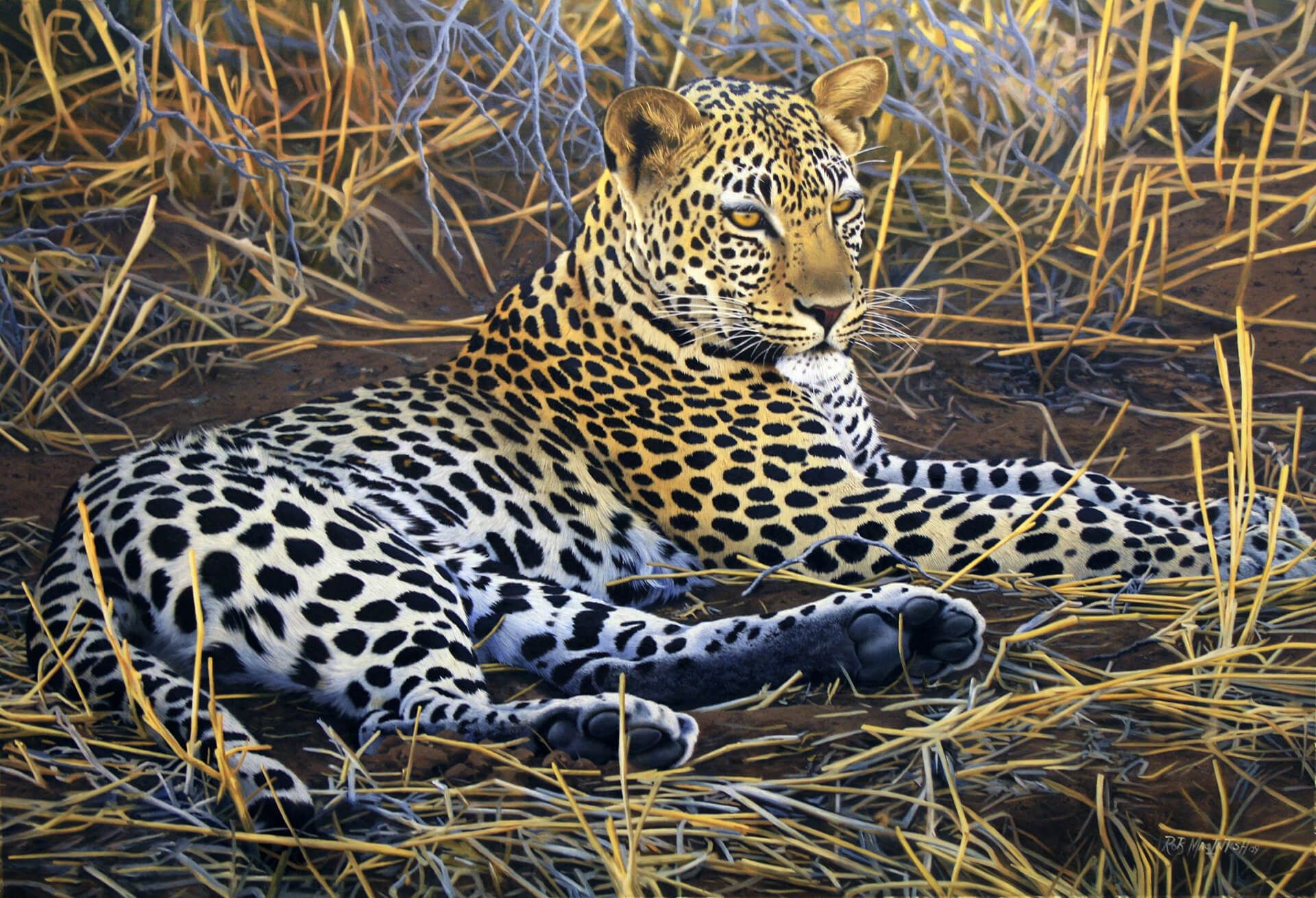Photorealistic painting of a cheetah camouflaged in its background
