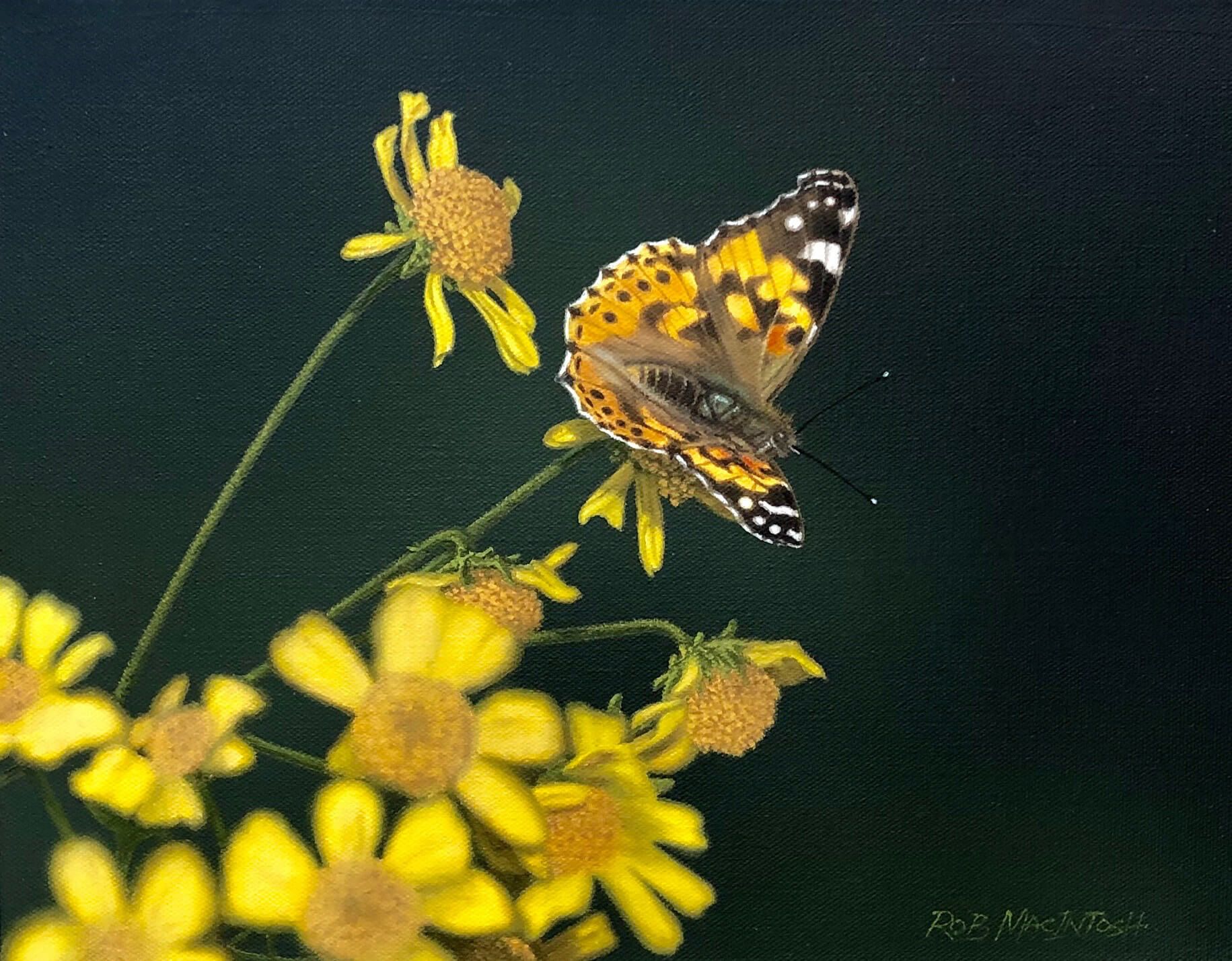 Photorealistic painting of a butterfly on a dandelion