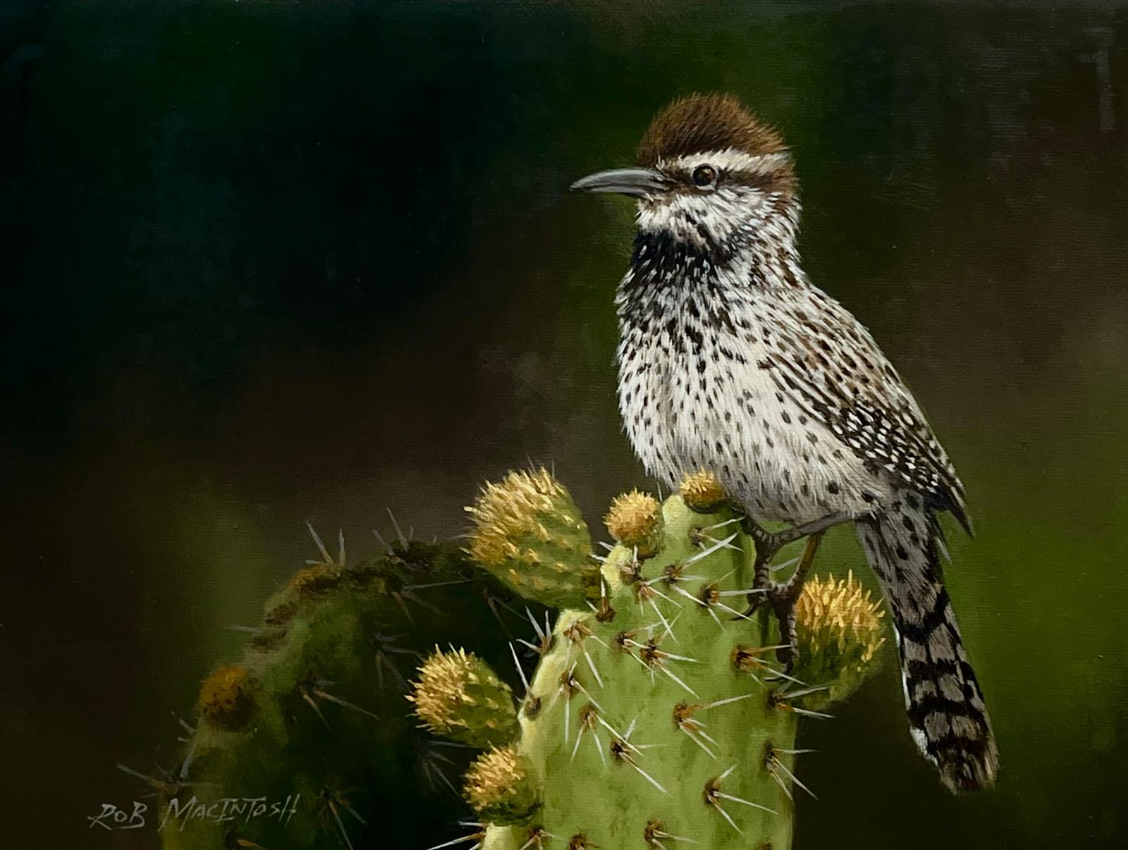 Cactus Wren Artwork
