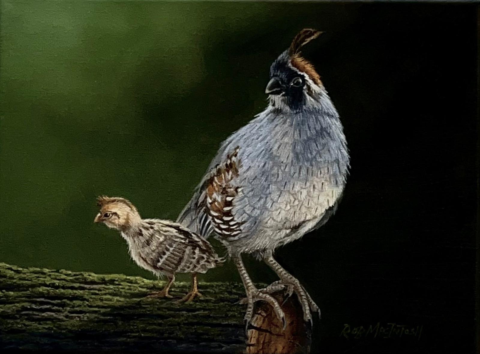 Quail and Baby Artwork